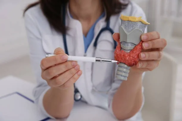 Médica com estetoscópio apontando para modelo anatômico da tireoide e laringe com uma caneta